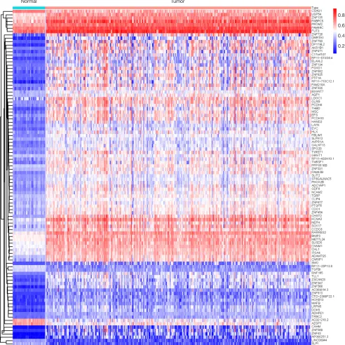 Figure 3 The top 100 MDGs were selected to reveal the differential distributions of methylated state by heatmap, in which alterations from hypomethylation to hypermethylation were illustrated by colors ranging from blue to red.