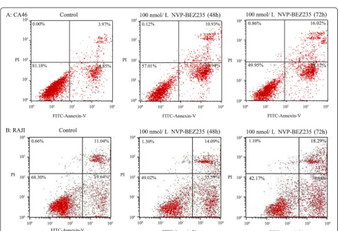 Fig. 4 NVP-BEZ235 induced apoptosis in Burkitt lymphoma cells. a CA46; b RAJI. * P < 0.05, compared with control