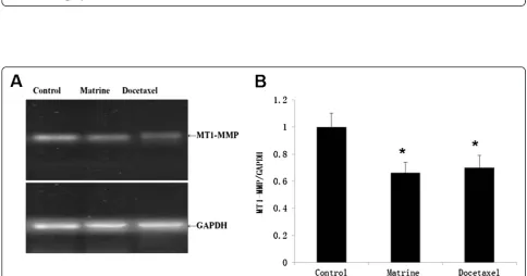 Fig. 1 The migration of HPAC cells was inhibited by Matrine. Log-phase cells were treated with normal complete RPMI-1640 alone or containedwith 50 μg/ ml Matrine or 0.05 μg/ ml Docetaxel (a)