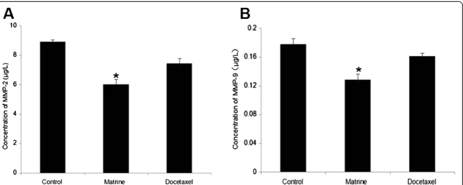 Fig. 3 Effects of Matrine on the expressions of MMP2 and MMP9 in HPAC cells. HPAC cells were treated as described previously