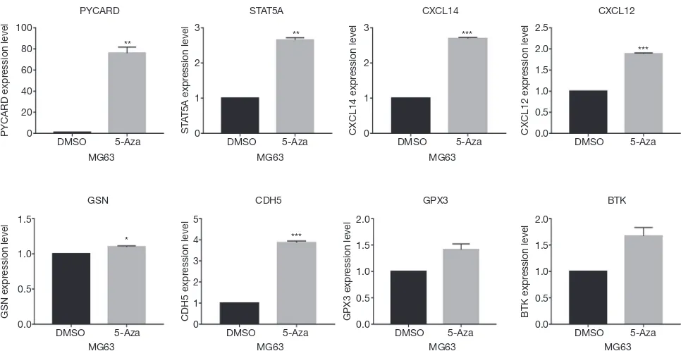 Figure 10 Aberrant methylation contributed to OS progression. (A) After 5-Aza treatment, the proliferation of MG63 cells were significantly decreased; the Wound-healing assay (B) and Transwell Migration Assay (C) evaluated that the migration and invasion o