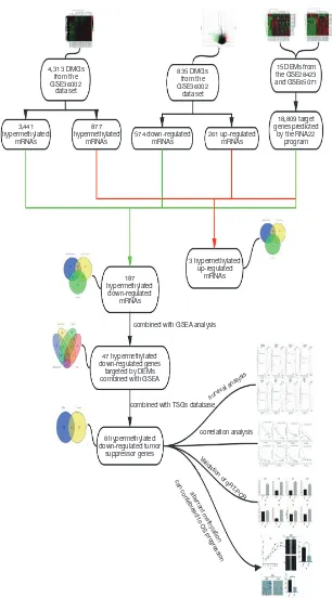 Figure 1 Workflow of how aberrantly methylated differentially expressed genes were identified.