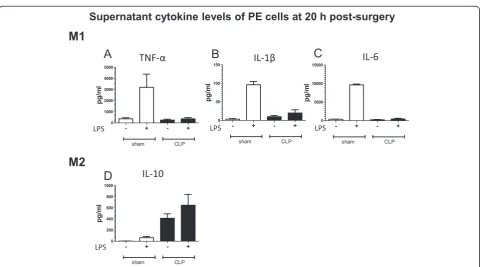 Fig. 4 M2 polarization of supernatant cytokine incubated CLP-derived PE cells with LPS stimulation