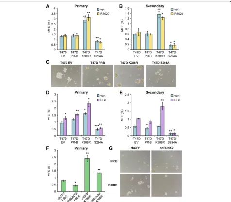 Fig. 8 Mammosphere formation in T47D cells (empty vector, PR-B, PR-B K388R, and PR-B S294A)