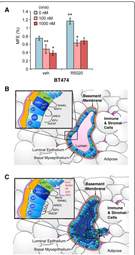 Fig. 9 Primary mammosphere formation in unmodified HER2+ BT474expressing endogenous estrogen receptor (ER) and progesterone receptorisoforms (PR-A and PR-B) plotted as a percentage of mammosphereforming efficiency (breast cancer cells
