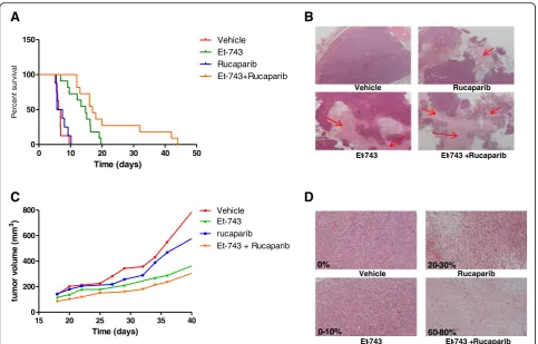 Fig. 5 a In vivo effect of trabectedin (Et-743) and rucaparib combination. The doubling time was calculated from the tumor progression curve.b Tissue pictures of four representative tumors, the red arrows show the necrotic areas