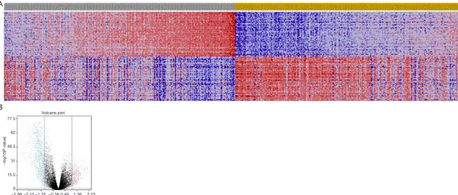 Figure S1 The heatmap and volcano plot based on immune scores. In immune score group, microarray data was standardized by limma package and heatmap of clustering analysis was performed (|log(FC)| >1 and FDR <0.05)