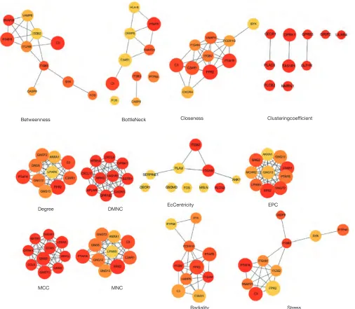Figure S4 Hub genes identification based on cytoHubba. The PPI network data from STRING was further analyzed by Cytoscape and hub genes identification was performed by cytoHubba based on 12 algorithms.