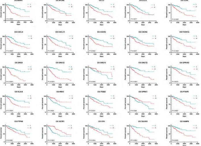 Figure S5 K-M curves of 25 hub genes. K-M curves were applied to explore the association between expression levels of hub genes and overall survival.