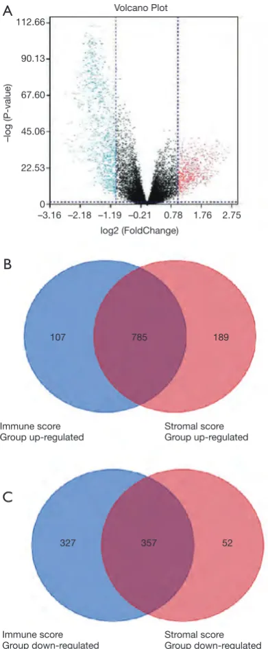 Figure 2 Comparison of gene expression profiles with immune scores and stromal scores in LGG