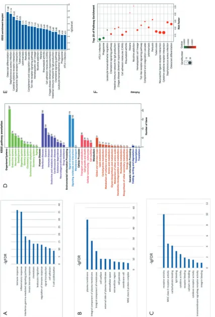 Figure 3 Page 7 of 12Functional enrichment analysis. Results of BP (A), CC (B), and MF (C) in GO analysis revealed the relationship between hub genes and functional pathways