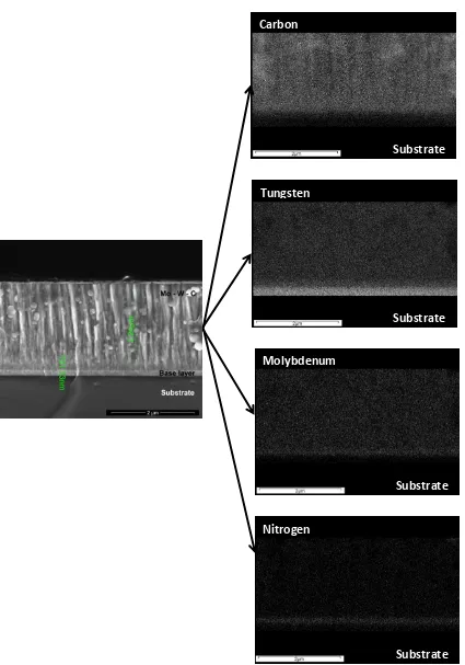 Figure 2: X-ray mapping of elements on the fracture cross-section of as-deposited Mo−W−C 