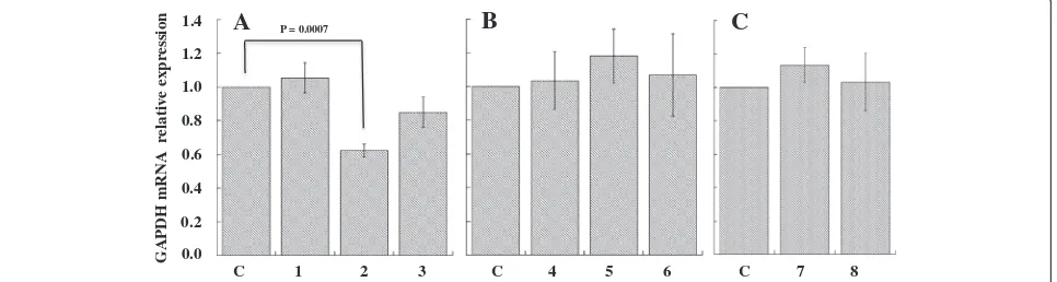 Figure 4 Effect of siRNAGAPDH on the expression levels of GAPDH. A20 cells were treated with siRNAGAPDH and peptide-siRNAGAPDHcomplexes for 48 hours