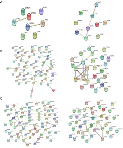 Figure 5 Hub genes of intersection KEGG analysis in three group. (A) KEGG pathway analysis in the co-up (and down)-regulated genes between adults and children