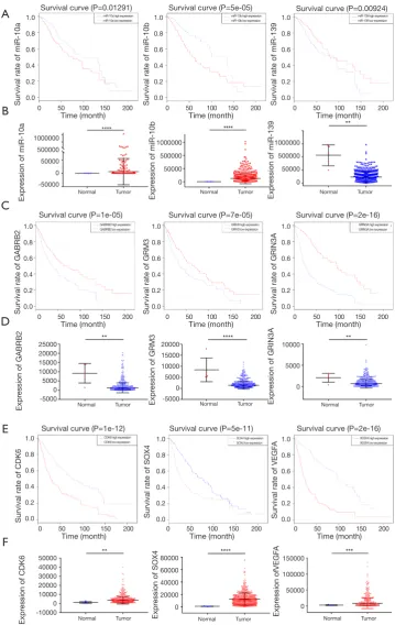 Figure 6 Hub miRNAs and genes expression and survival validated by TCGA. (A) For the survival analysis of miRNA with common differences in adults and pediatric gliomas, red dots represent overexpression of miRNA in gliomas, and blue short-line represent lo