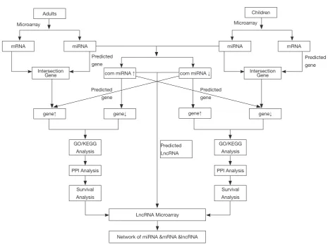 Figure 1 The entire data processing and analysis ﬂow chart. We screened genes and miRNAs that differed between adults and children, and then diﬀerentiated them by up-regulation