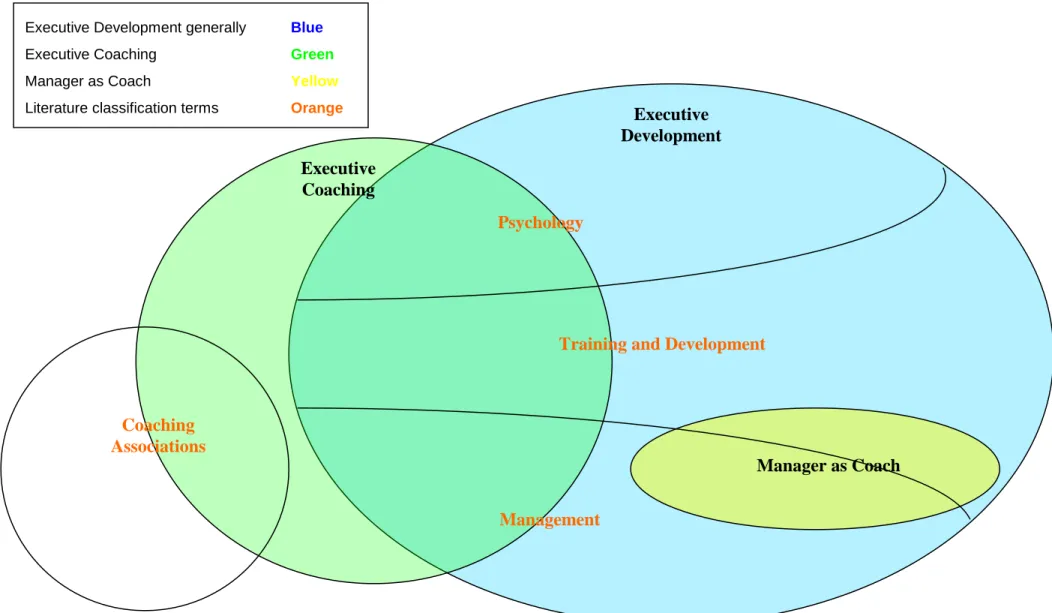 Figure 2.1. Map of relevant fields of literature within executive development. 