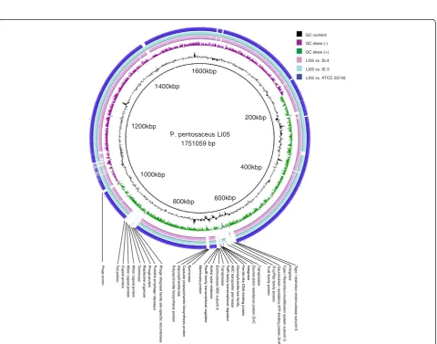 Figure 2 The distribution of the genes associated with the 25 general COG functional categories in P