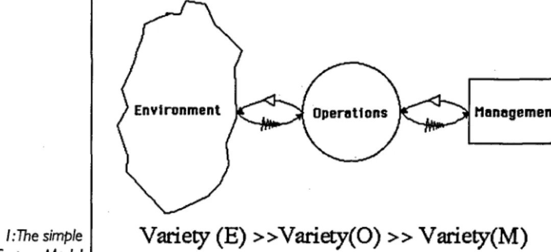 Figure I:The simple Viable System Model