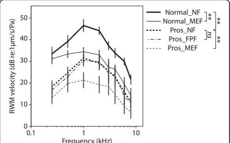Fig. 2 Number of temporal bones used for each experimental condition