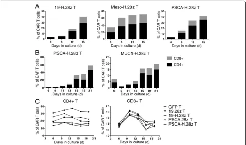 Fig. 2 Hinge incorporation mainly promotes CD4+ CAR T cell expansion.analysis of the percentage of CD4+ and CD8+ PSCA-H.28z T (CD4+ T cell andhealthy human donors.when CD4+ T and CD8+ T cells were isolated and cultured them separately in vitro
