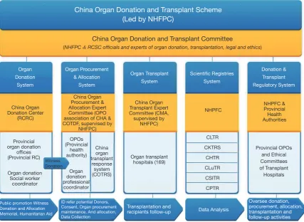 Figure 6 China organ donation and transplantation system structure, supervised by the National Health and Family Planning Commission (now nominated as the National Health Commission) with the steering committee board, composing of five systems (Reorganized from NHC official files).