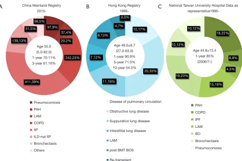 Figure 3 Representative chart of indication distribution in registries in Greater China region