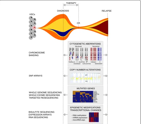 Fig. 1 Genetic and molecular events investigated for possible changes between diagnosis and relapse of AML