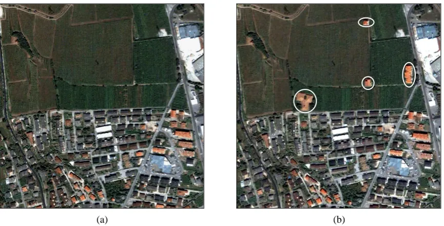 Figure 3.1True color composition of pansharpened image of the city of Trento (Italy) acquired by the Quickbird VHR multispectral sensor in July 2006 (a) original image without simulated changes, (b) original image with simulated changes (pointed out with w