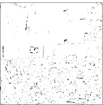 Figure 3.12. Registration-noise map obtained by thresholding the pˆ( |)RN  T obtained with the proposed technique (Test site 1)