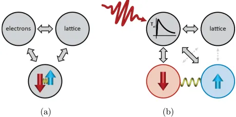 Fig. 1.Schematic illustration of the conventional (a) and ofthe ultrafast and distinct (b) spin dynamics