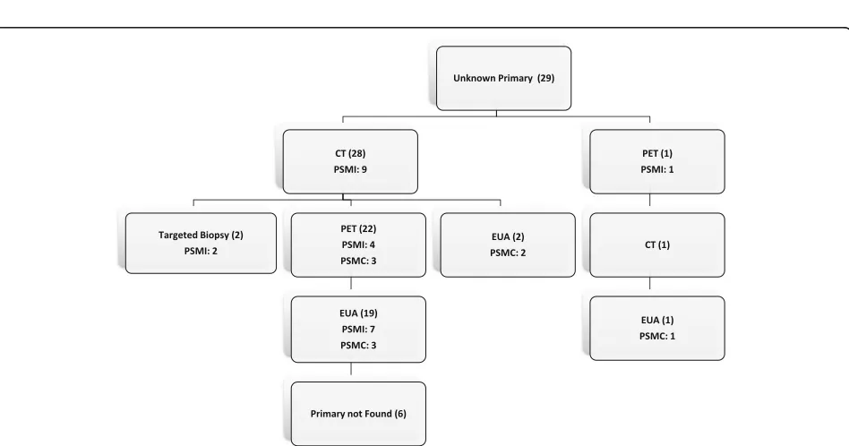 Fig. 1 Flow diagram of patients referred to TBCC for head and neck malignancy of unknown primary