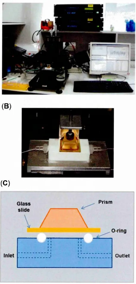 Figure 1.6. The instrumental set up of TIRE. (A) J.A. Woollam M2000 