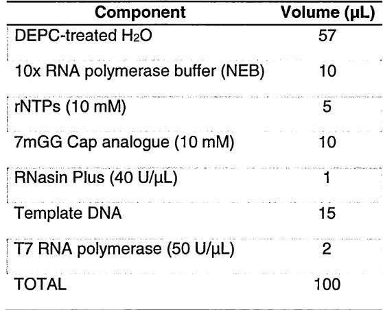 Table 2.3. At1g17780.1 thermocycling conditions for PCR.