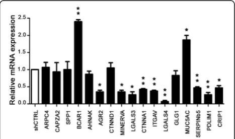Fig. 1 mRNA expression of modulated proteins in CFPAC-1 shENO1cells. Using real-time PCR, mRNA expression of different proteins wasinvestigated in CFPAC-1 shENO1 cells