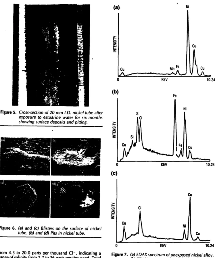 Figure  6.  (a)  and  (c)  Blisters  on  the  surface  of  nickel  Ni