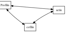 Table 3: Per-type results of extraction of typed di-rected relationships from GENIA using gold stan-dard parses and the path model