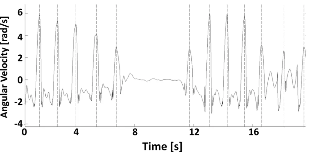 Fig 2. Typical angular velocity signal of the shank in the sagittal plane during consecutive steps