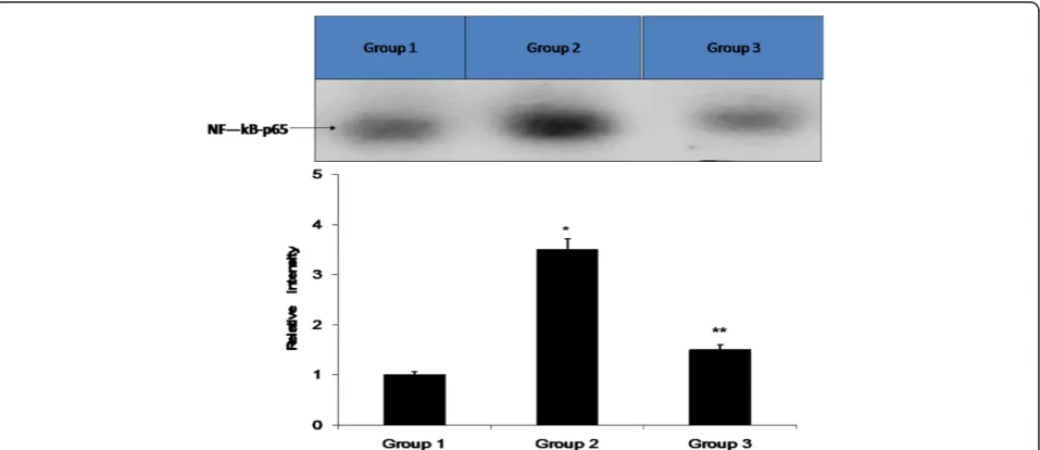 Figure 1 Effect of TQ on the levels of nitric oxide (A), IL1-β (B), and TNFα (C) of CP treated rats