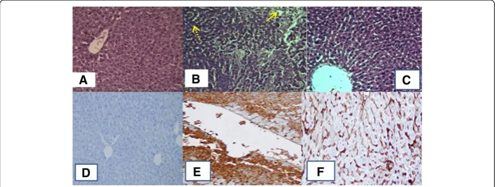 Figure 3 Effect of CP on IL1-β, TNF-α and iNOS expression (A). The relative intensity of the bands is represented in (B) Data are the mean ± S.D.(n15); *P < 0.01, **P < 0.01 vs