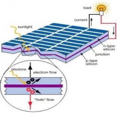 Fig. 1 Basic Structure of a silicon cell  
