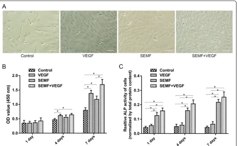 Fig. 2 Morphology of rBMSCs observed under microscope after 1 week induction of SEMF (1 mT, 15 Hz, 4 h/day) and VEGF (50 ng/ml)