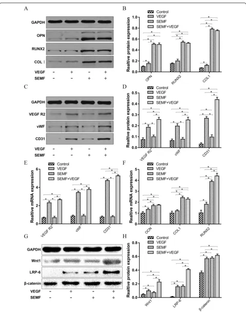 Fig. 3 (See legend on next page.)