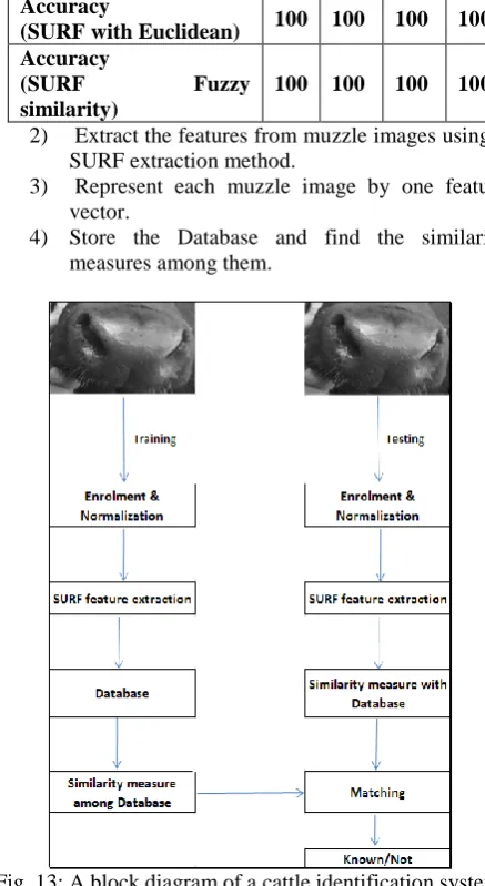 Fig.  12 If the contrast between two interest points is different (dark on light background vs