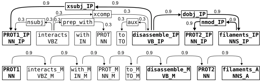 Figure 2: Graph representation generated from an example sentence. The candidate interaction pair is marked asPROT1 and PROT2, the third protein is marked as PROT