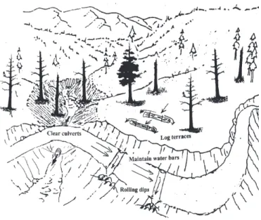 Fig. 4 – Graphic illustrating various erosion control measures. 