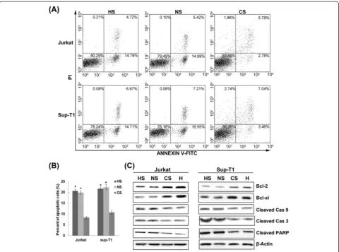 Figure 8 Notch1 signalling is required for hypoxia/HIF-1Percent of total apoptotic cells by quantitative analysis