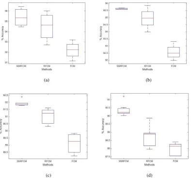 Fig. 4.  Segmentation results of Fig. 1: First row ((a) IBSR 155 (b) IBSR 167) by FCM