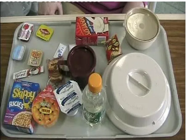 Figure 1: Typical meal tray in the study by Bell et al., [12] 