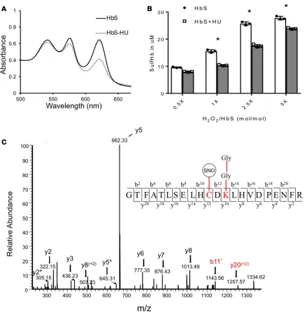 Figure 9. Hydroxyurea reduces ferryl heme and shields βline). (Cy93 by a process of S-nitrosylation